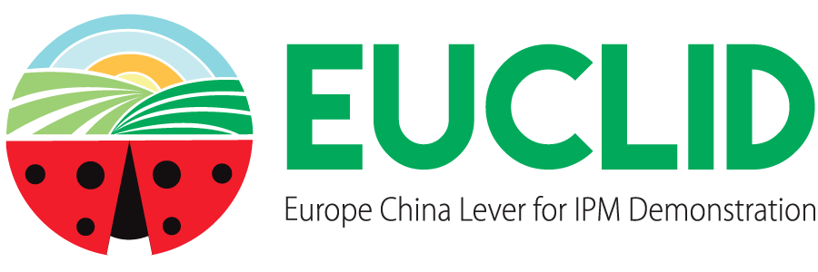 Logo officiel Euclid